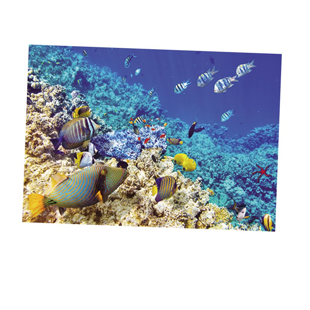 marque generique - affiche de paysage d'aquarium - Décoration aquarium