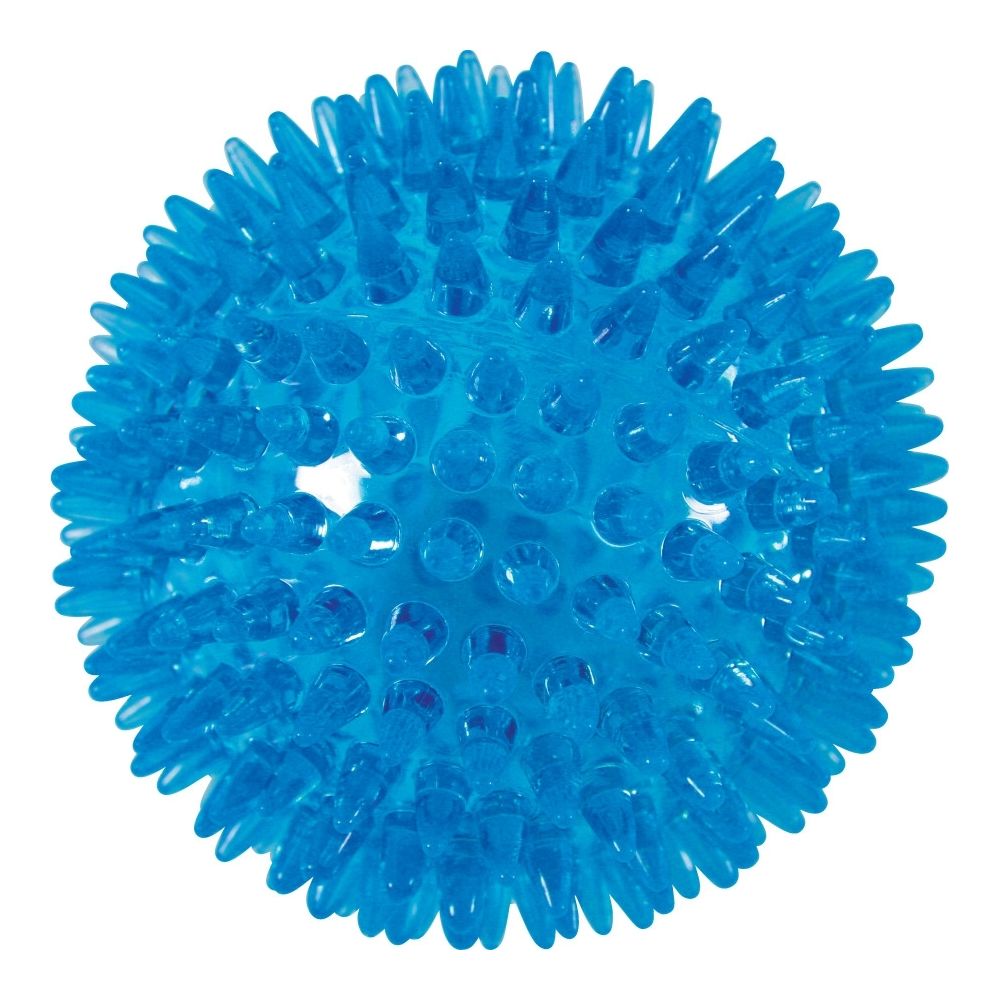 Zolux - Jouet TPR Balle Picot Pop 13 cm Turquoise - Jouet pour chien