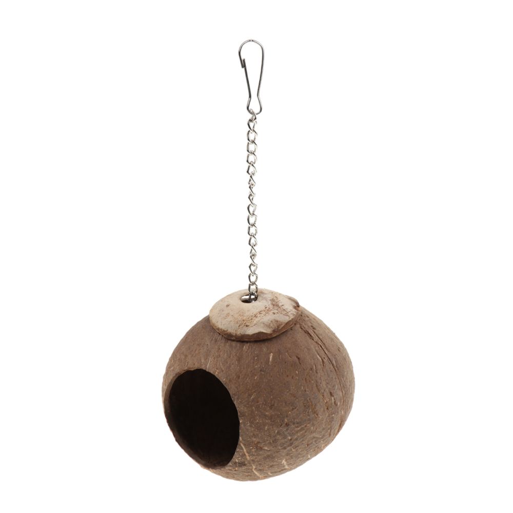 marque generique - cabane naturelle de nid d'oiseau de noix de coco cabane pour le jouet d'alimentation de perroquet pour animaux de compagnie # 3 - Jouet pour chien
