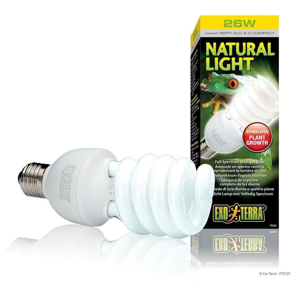 Exo Terra - Ampoule Natural Light Fluocompact pour Terrarium - Exo Terra - 26W - Accessoires de terrarium