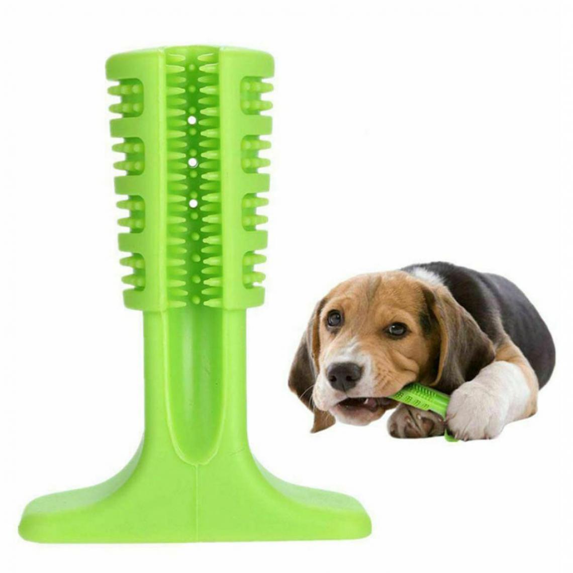 marque generique - Jouets Pour Chiens Puppy Molar Tooth Cleaner Stick Trainging Dog Chew Toys Green-L - Jouet pour chien