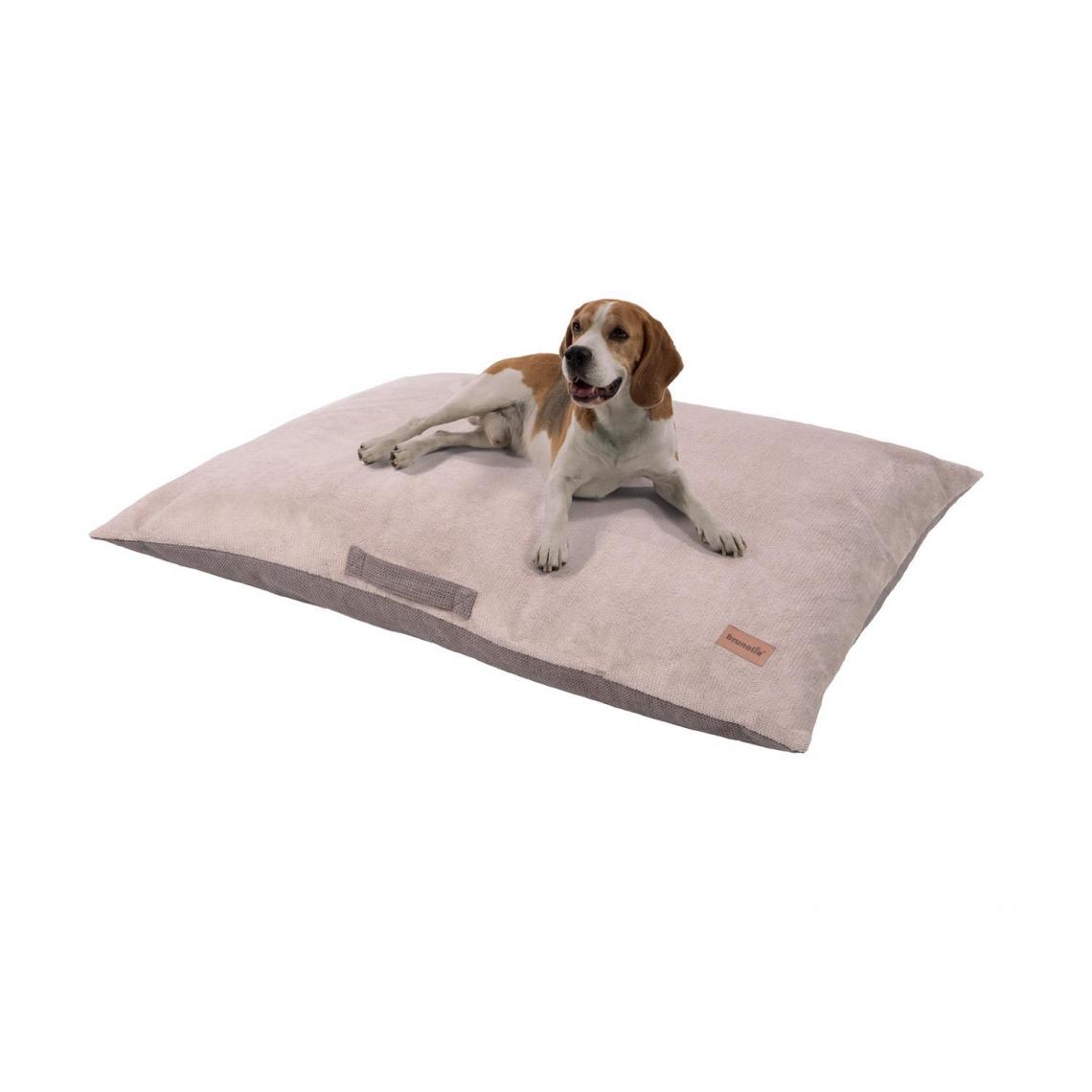 Brunolie - Henry Lit pour chien tapis lavable orthopédique antidérapant respirant mousse à mémoire de forme taille L (100 x 10 x 70 cm) - Corbeille pour chien