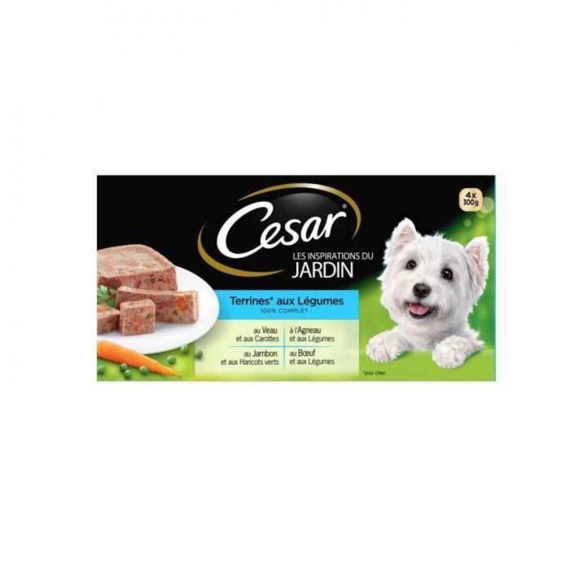 Cesar - Barquettes en terrine 4 x 300 g (x4) - Alimentation humide pour chien