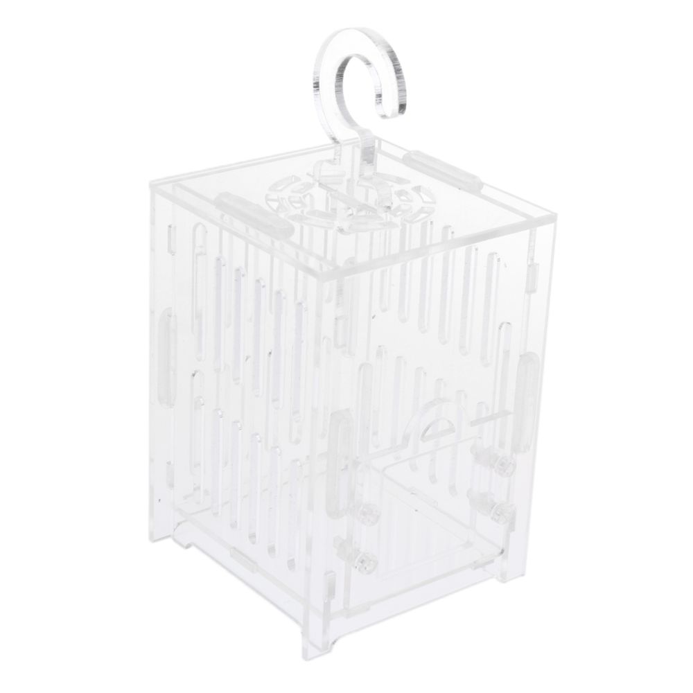 marque generique - Réservoir de cricket insectes araignée Vivarium Cage Box Terrarium acrylique clair S - Alimentation reptile