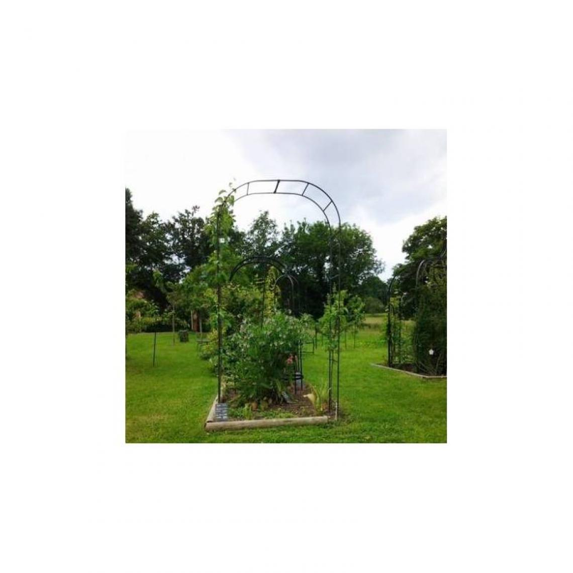 L'Héritier Du Temps - Grande Arche Simple Arche à Fleurs Rosiers Tuteur Plantes de Jardin Passage en Fer Forgé 40x170x250cm - Pergolas et Tonnelles
