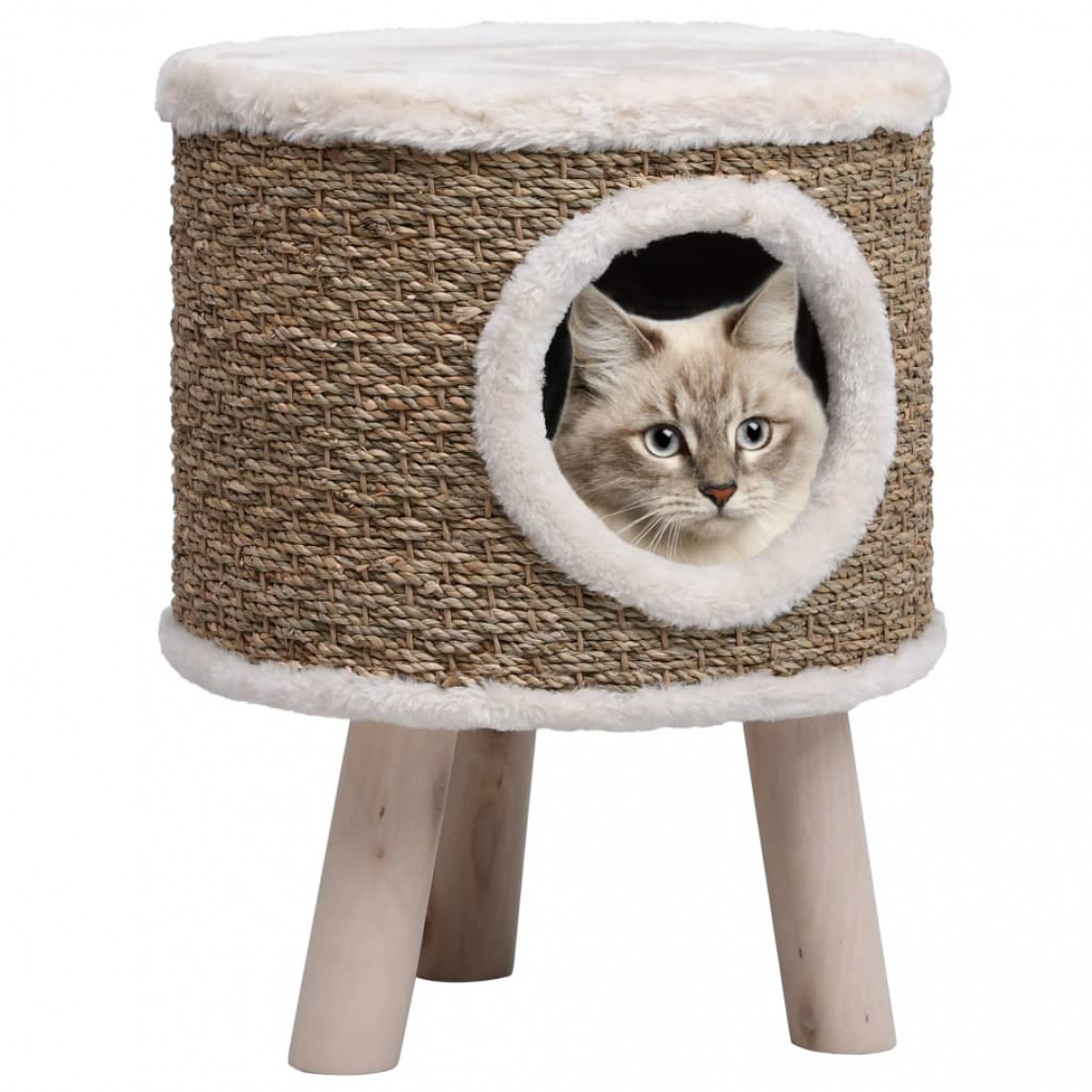 Uco - UCO Maison pour chat avec pieds en bois 41 cm Herbiers marins - Arbre à chat