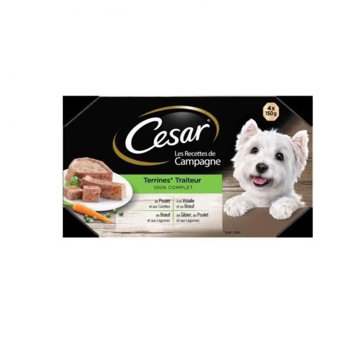 Cesar - Barquettes en terrine 4 x 150 g (x6) - Alimentation humide pour chien