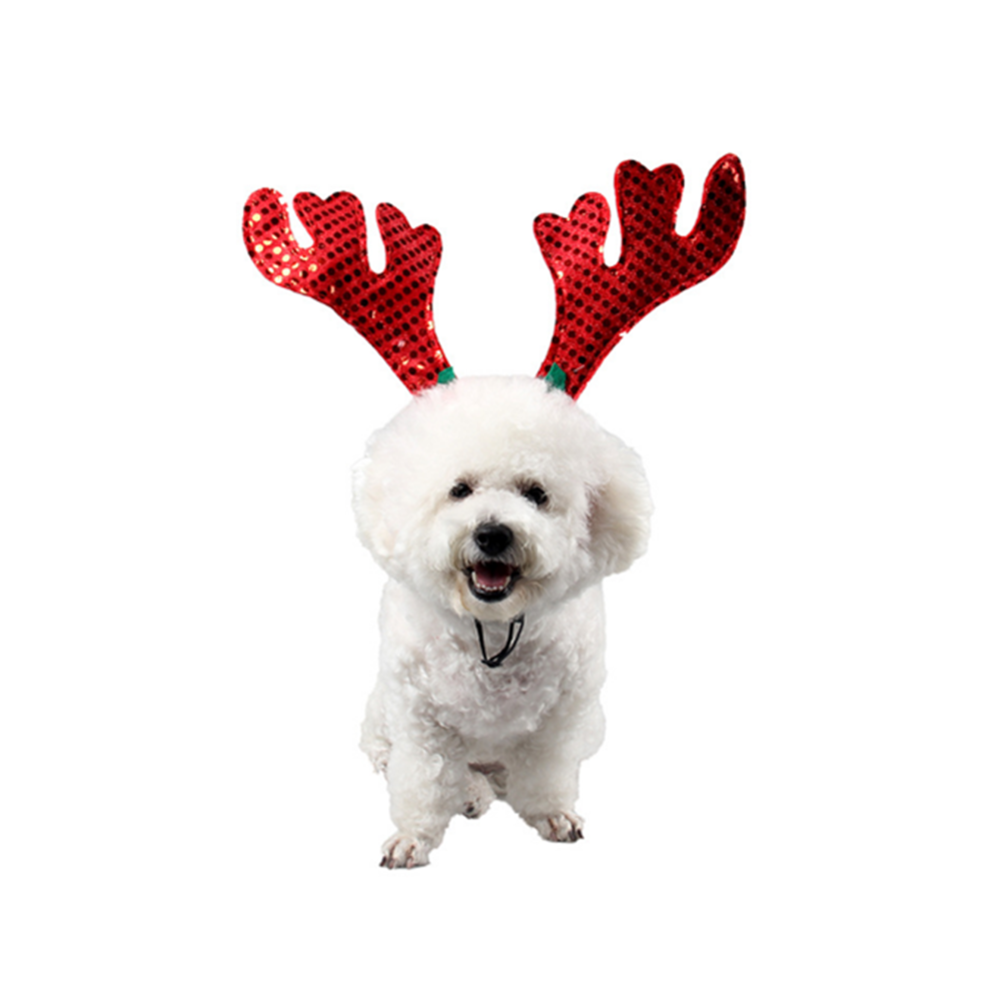 marque generique - YP Select Legendog Noël Pet Bandeau Chien Bandeau Mignon Antler Horn Pet Party Bandeau - Vêtement pour chien