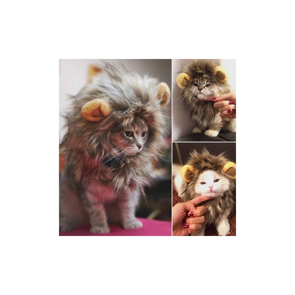 Totalcadeau - Costume de lion pour chat et petit chien déguisement - Equipement de transport pour chat