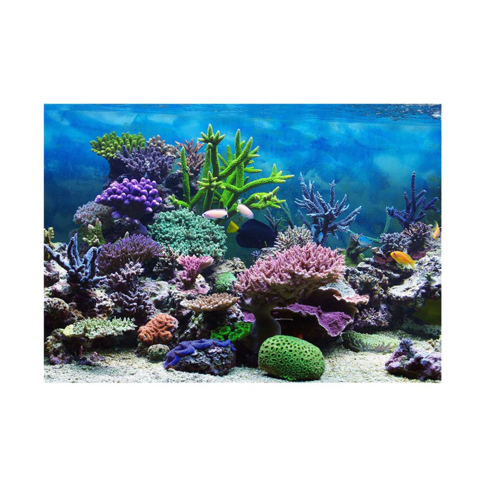 marque generique - fond d'aquarium, affiche adhésive décor de mur de réservoir de poissons autocollant corail m - Décoration aquarium
