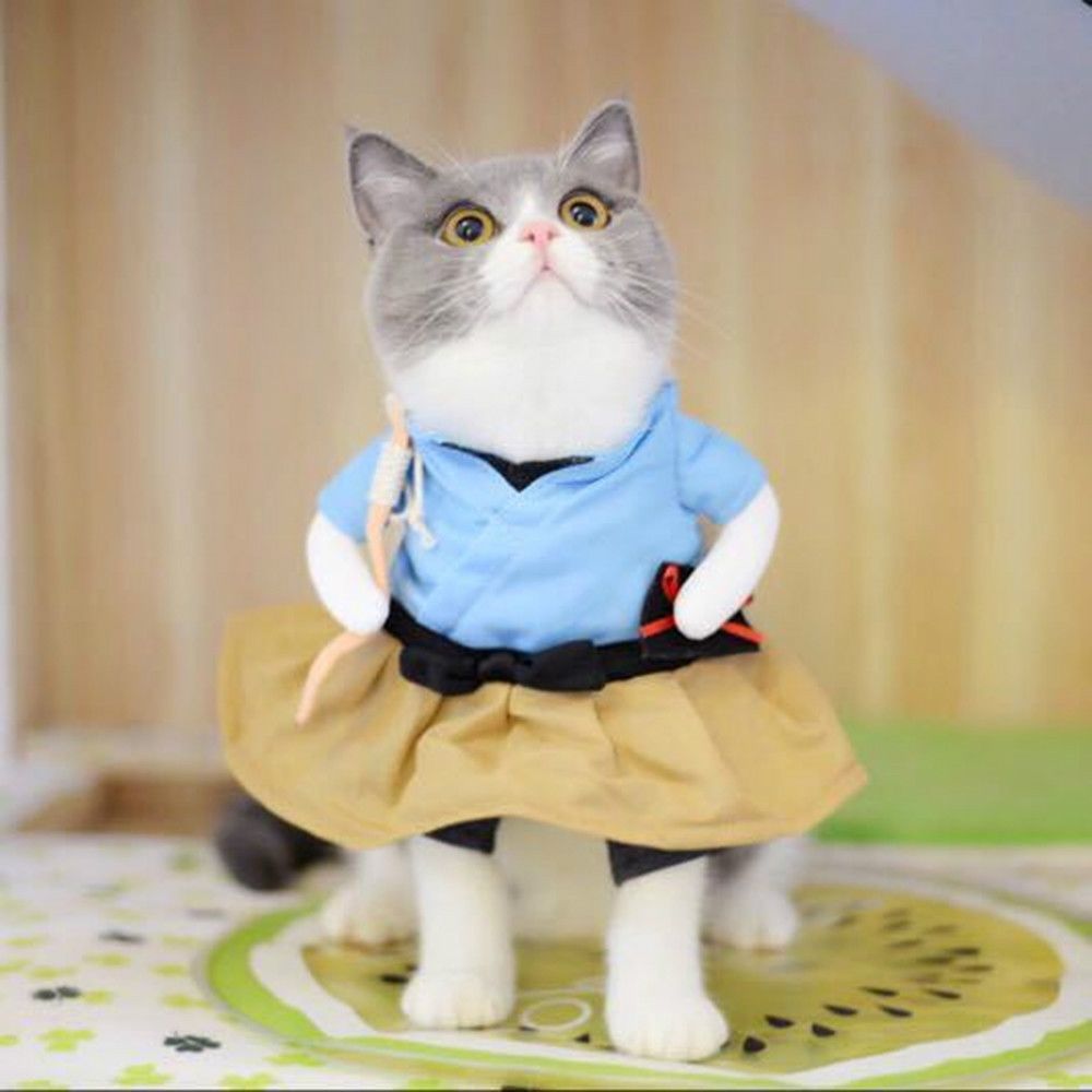 Wewoo - Costume de chien drôle de chat uniforme vêtements de de de chiot habiller de soirée pour les de cosplay chattaille M Urashima Taro - Vêtement pour chien