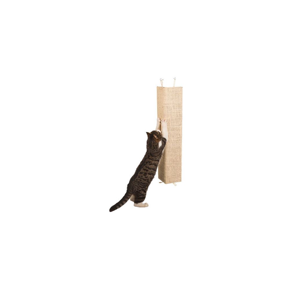 marque generique - Griffoir Kevin 80x28cm, beige - Arbre à chat