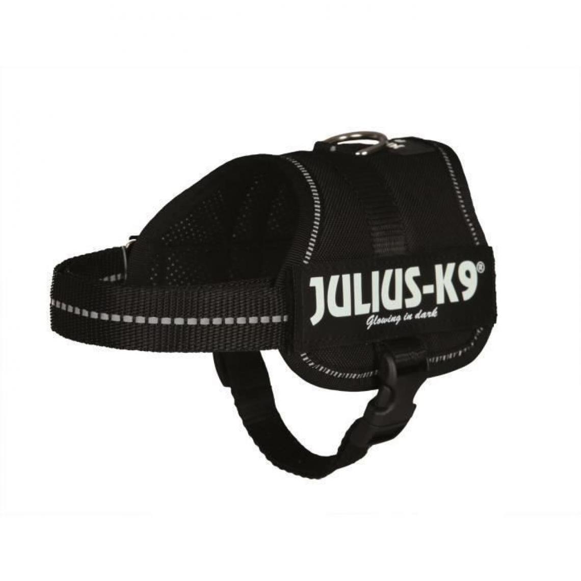 Julius K9 - Harnais Power Julius-K9 - Baby 2 - XS-S : 33-45 cm-18 mm - Noir - Pour chien - Collier pour chien