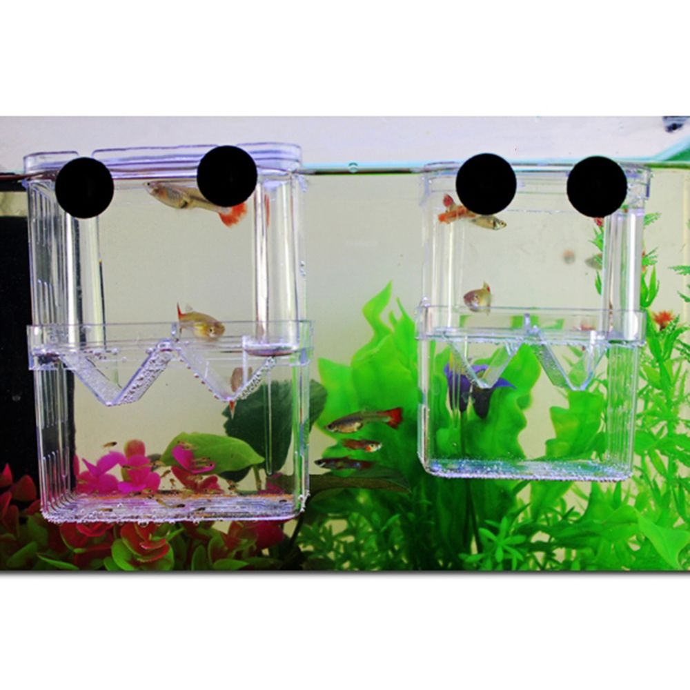 marque generique - boîte de reproduction aquarium - Aquarium