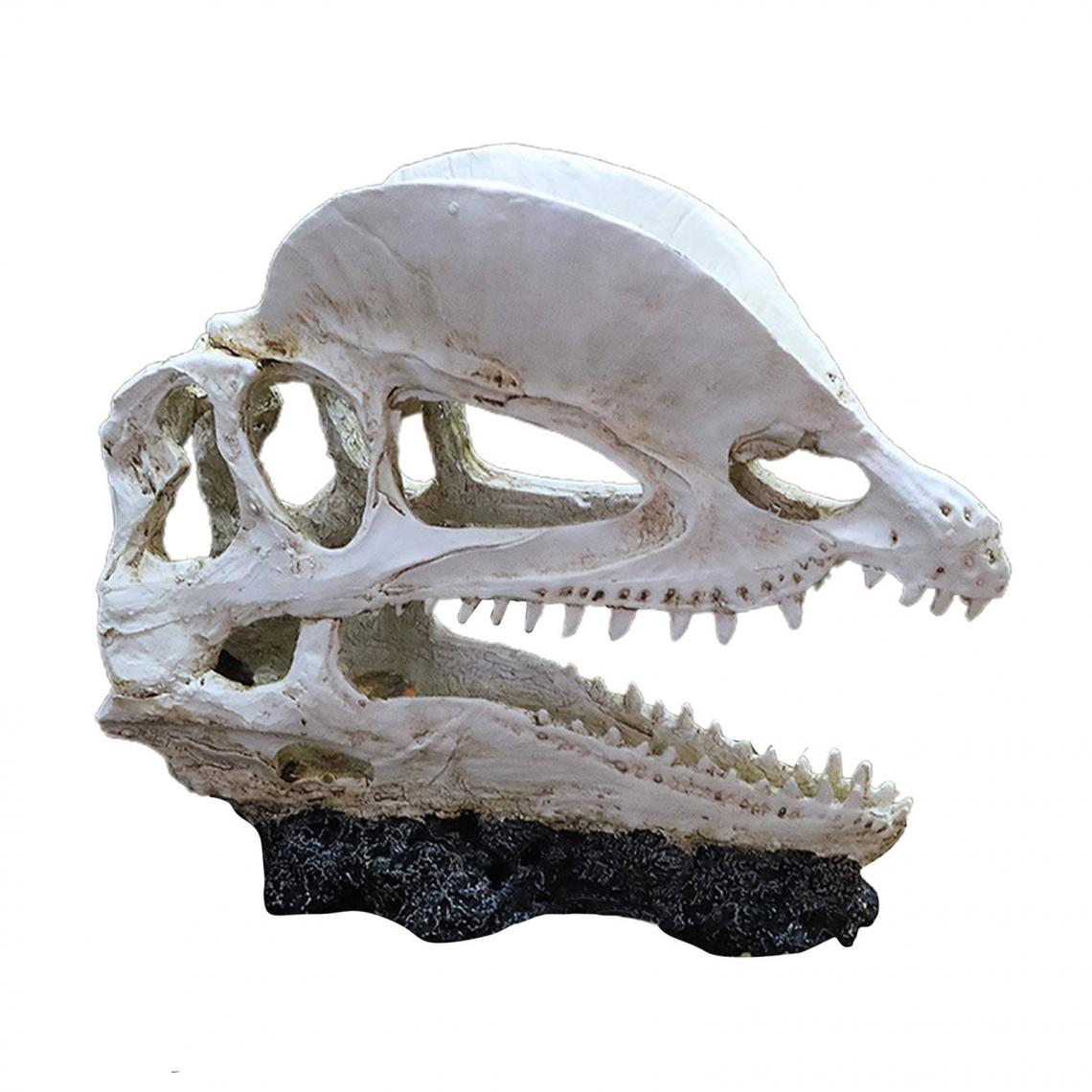 marque generique - crâne modèle fish tank décor tête ornement - Décoration aquarium