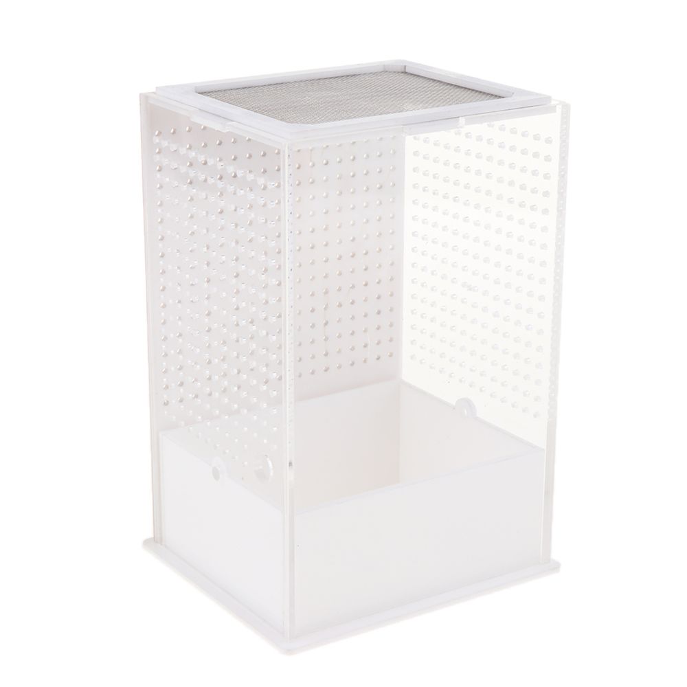 marque generique - Reptile Feeding Box Transparent Cage Hatching Container pour Lizard Frog 2 - Alimentation reptile