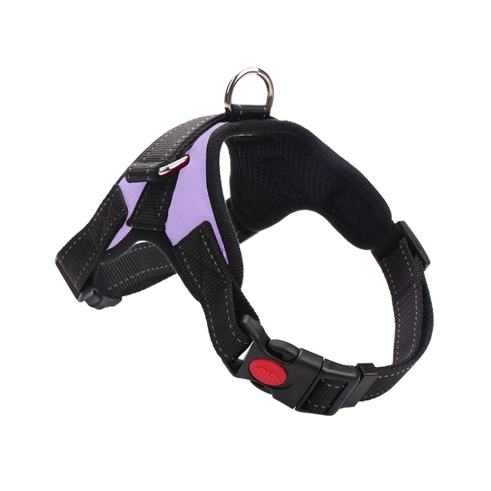 marque generique - YP Select Sangle de poitrine anti-déflagrante pour chaîne de chien pour chien en laisse - 6 violet M - Equipement de transport pour chien
