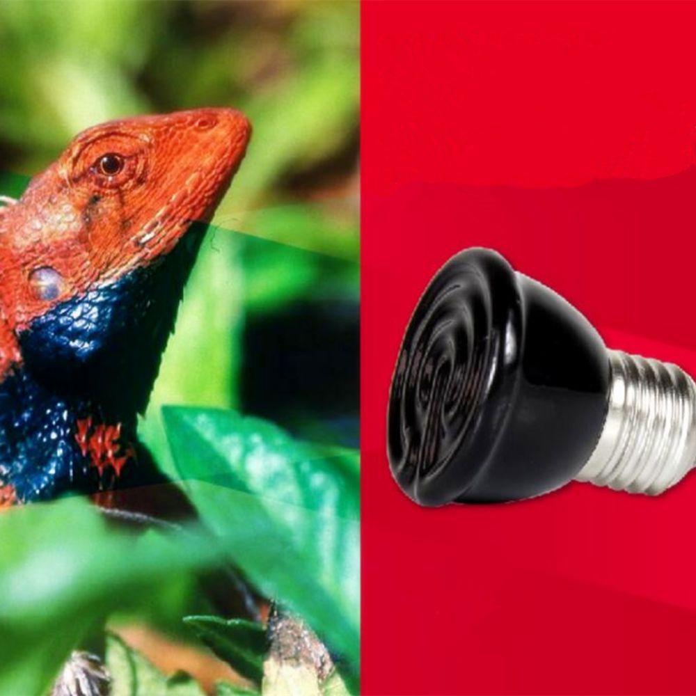 marque generique - 80w Mini-céramique Ampoule De Lampe Infrarouge Thermique émetteur éleveuse Reptile Animal - Alimentation reptile