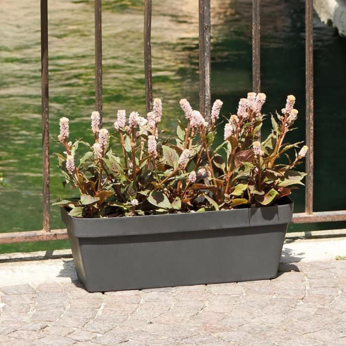 Deroma - Jardiniere rectangulaire Like Anthracite - 49x17 cm - Poterie, bac à fleurs