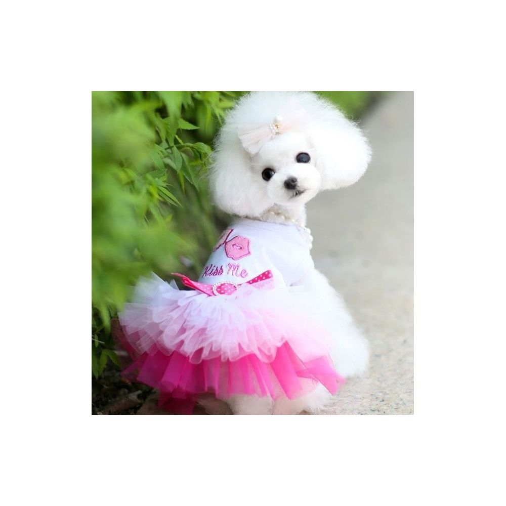 Wewoo - Vêtements pour chien robe en dentelle princesse Chihuahua animaux de compagnietaille L rose - Vêtement pour chien