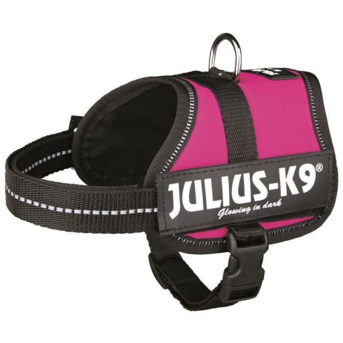 Julius K9 - Harnais Power Julius-K9 - Baby 2 - XS-S : 33-45 cm-18 mm - Fuchsia - Pour chien - Equipement de transport pour chien