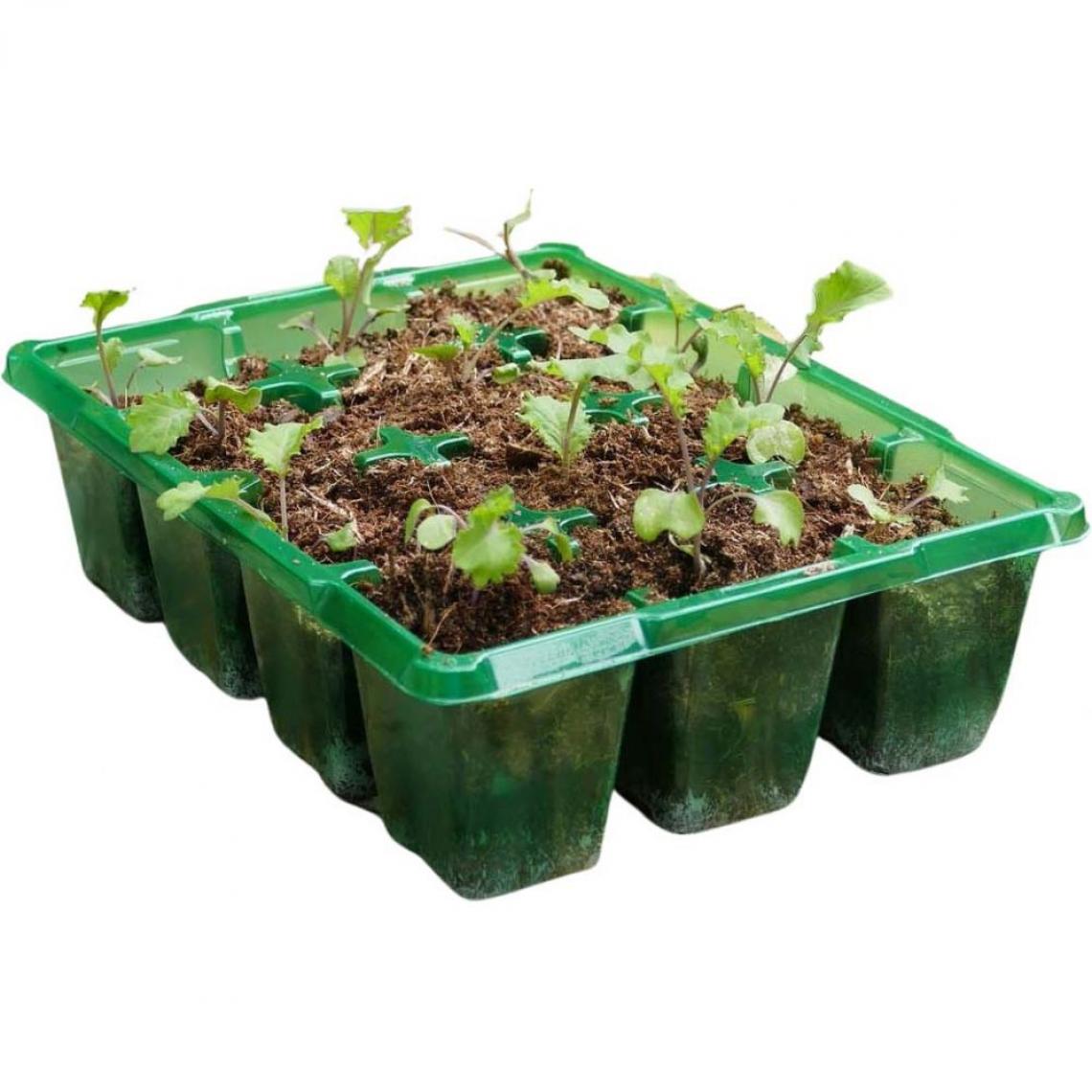 Grow It - Bac à semences 12 pots Gro-sure - Serres en bois