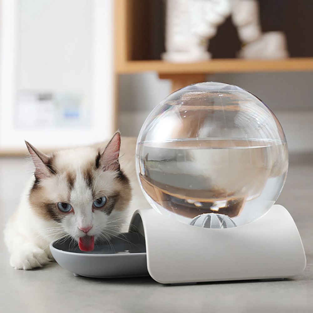 Generic - Chien Chat Forme Bulle Pas humide Bouche Chargeur automatique de l'eau potable Voyage - Gamelle pour chat
