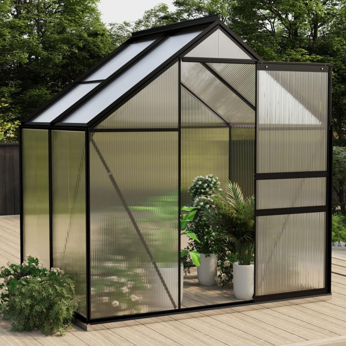 Icaverne - Distingué Jardinage serie Paris Serre Anthracite Aluminium 2,47 m² - Serres en verre
