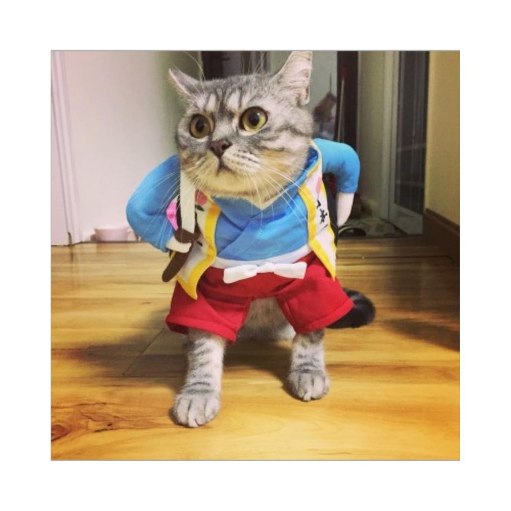 Wewoo - Costume de chien drôle de chat uniforme vêtements de de de chiot habiller de soirée pour Cosplay chattaille S Samurai Knife - Vêtement pour chien