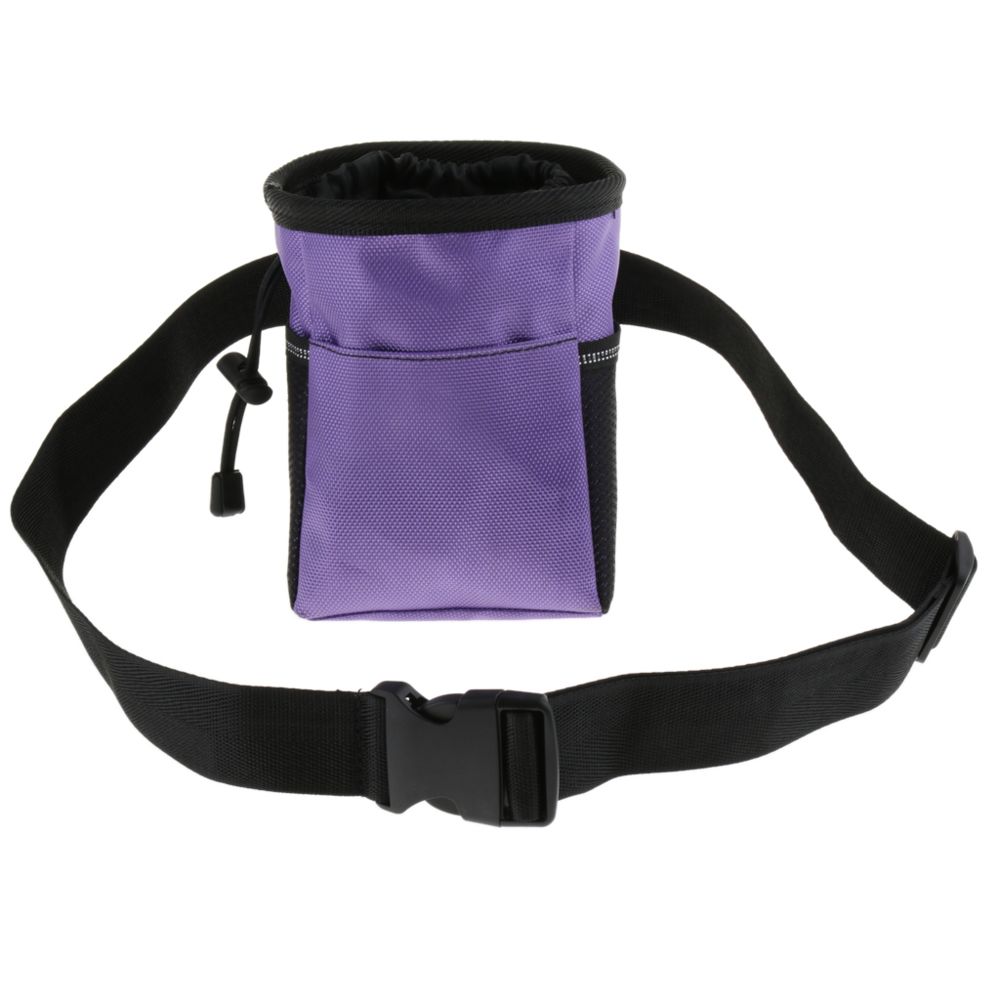 marque generique - Sac de taille pour collation pour animal domestique Sac de ceinture - Accessoires éducatif pour chien