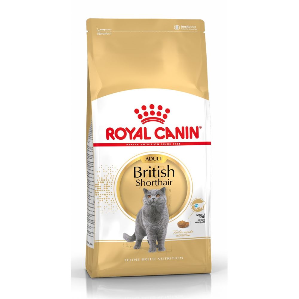 Royal Canin - Royal Canin Race British Shorthair Adult - Croquettes pour chat