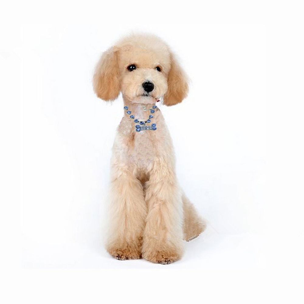 marque generique - Cristal Strass Os Strass Collier Pendentif Animal Bijoux Chien Bleu M - Collier pour chien