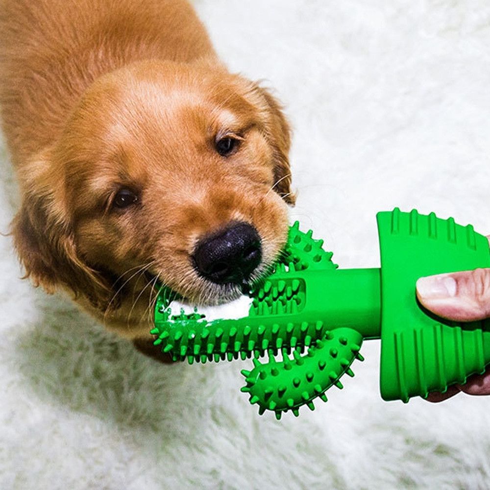 Wewoo - Fournitures de jouet de chien de tige molaire de dents de nettoyage de brosse à d'animal familier - Hygiène et soin pour chat