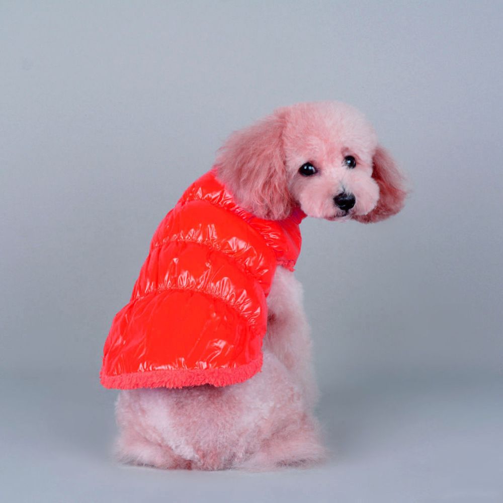 marque generique - Pet Dog Puppy Cat Chaud Rembourré Coat Down Jacket Vest Vêtements Vêtements Rouge XXL - Vêtement pour chien