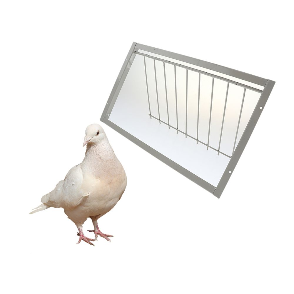 marque generique - Bird Pigeons Small Parrot Industrial Design Loft Door Entrance M 3Pack - Accessoires de cage