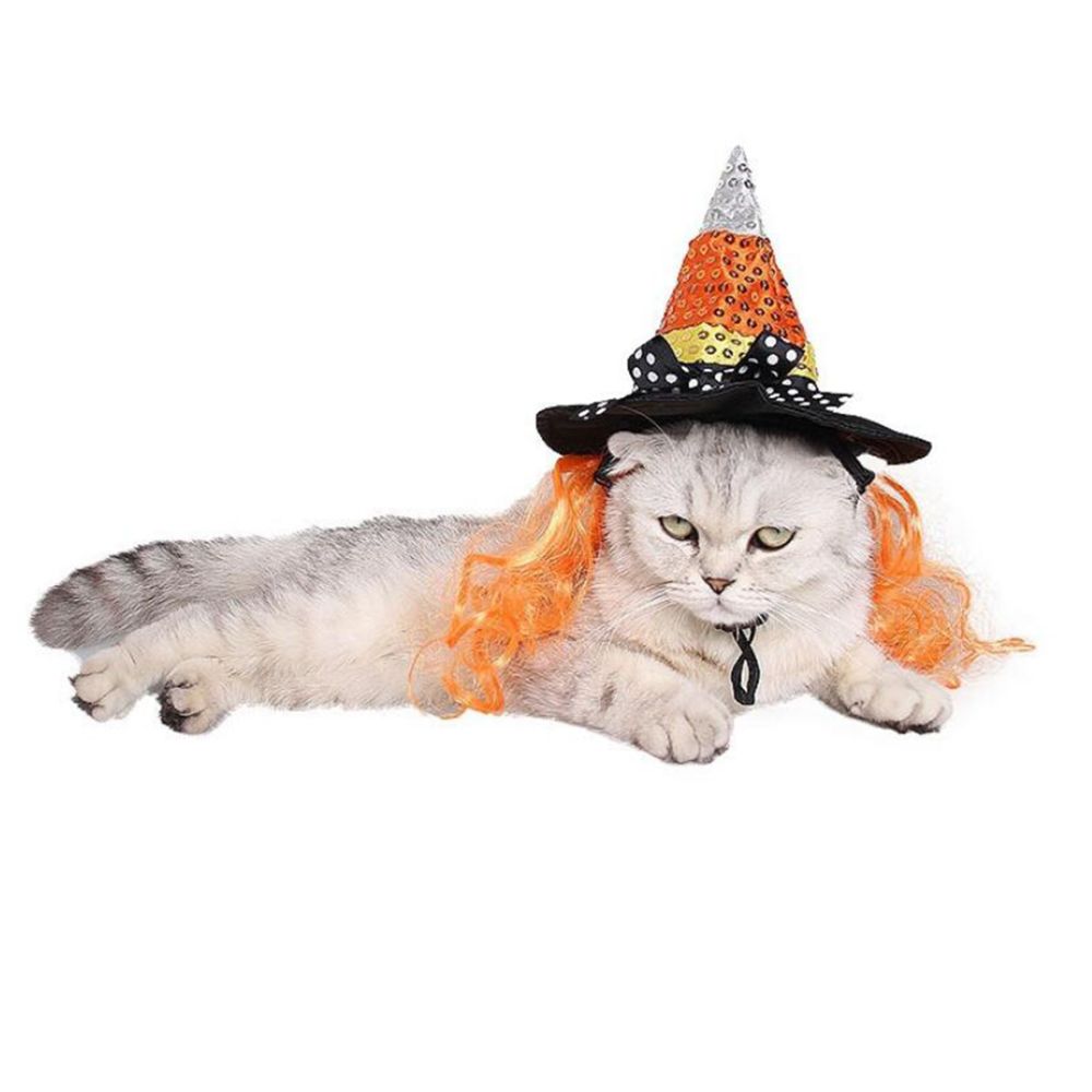 marque generique - Pet Halloween Coiffure Sorcerer Magic Hat Cosplay Accessoires M - Vêtement pour chien