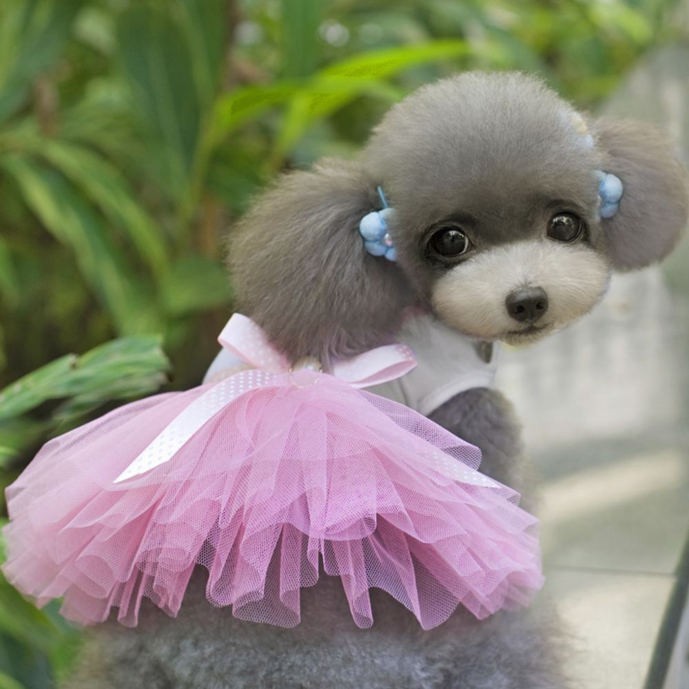 marque generique - chien de compagnie tulle jupe en couches robe de princesse chemise vêtements habillement rose m - Vêtement pour chien