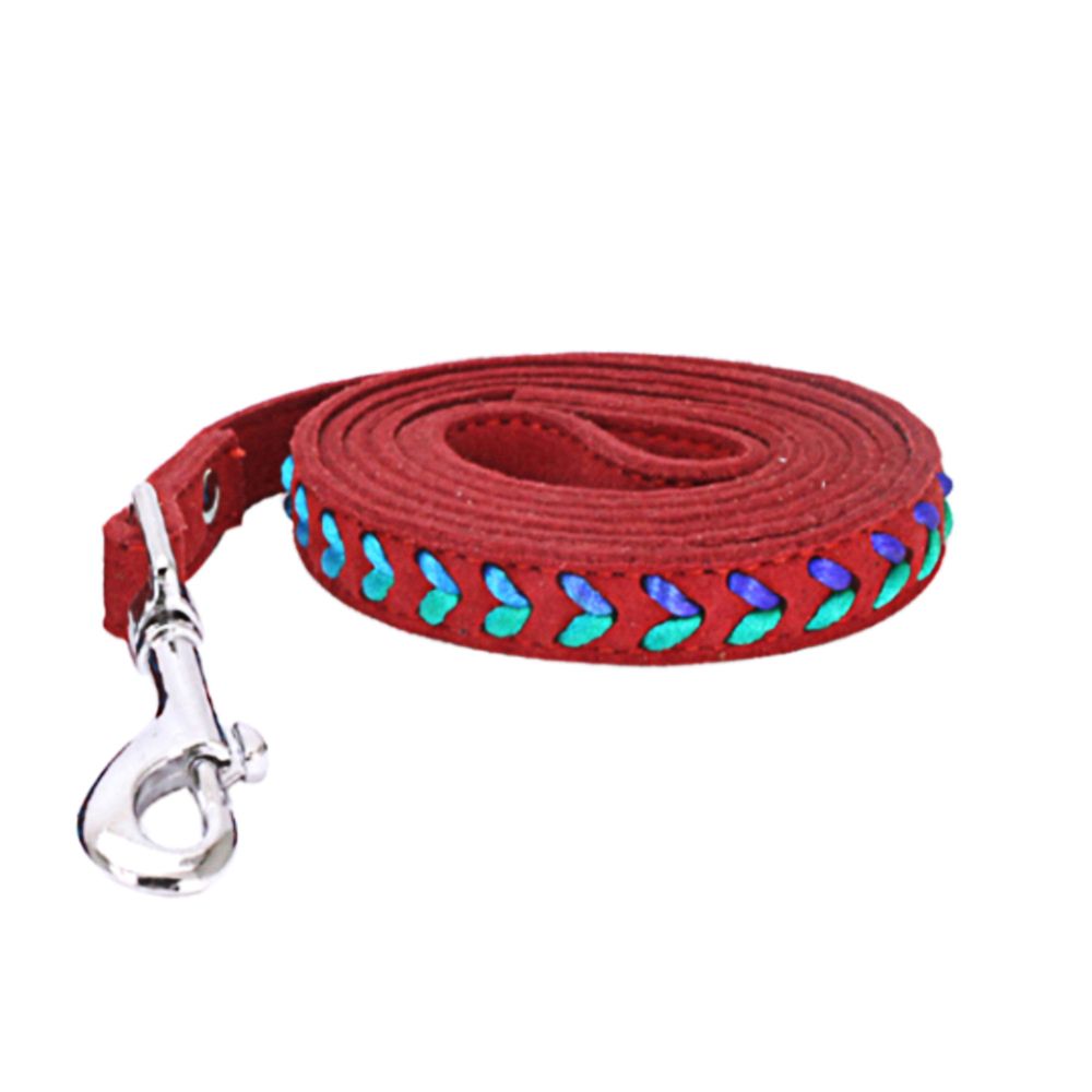 marque generique - Laisse colorée de chien d'animal familier de Weave menant la corde rouge de corde de traction de marche - Laisse pour chien