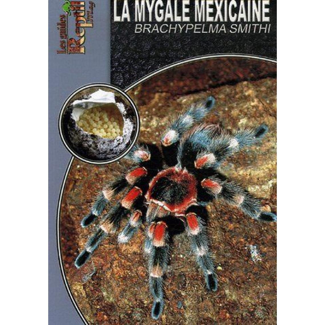 Inconnu - La Mygale Mexicaine: Brachypelma Smithi - Traitement de l'eau pour aquarium