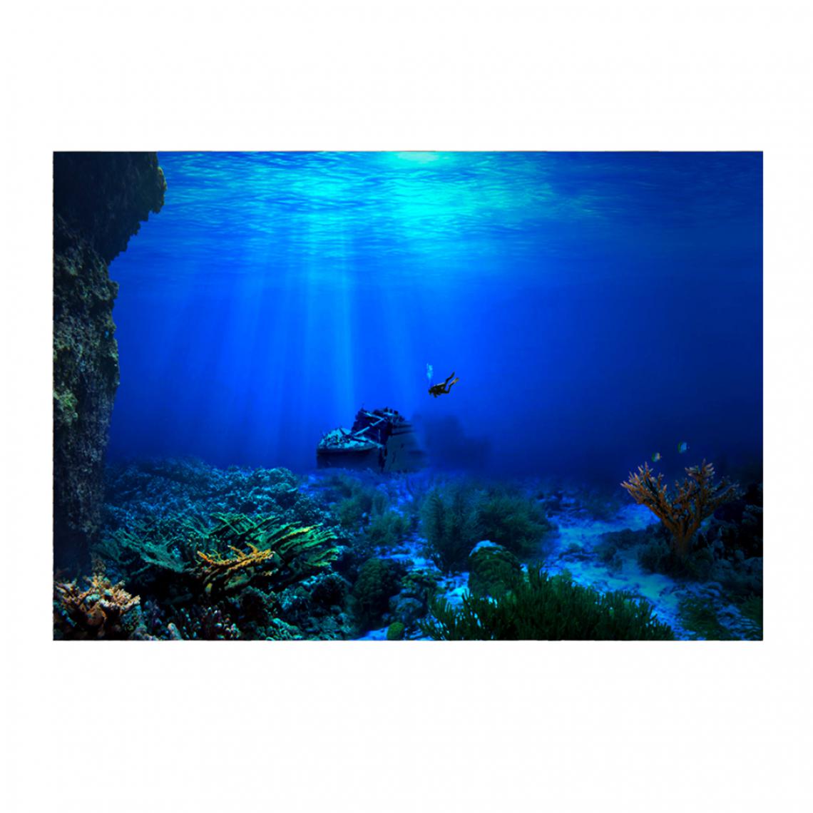 marque generique - Adhésif de fond adhésif de réservoir de poisson marine 61x41cm - Décoration aquarium