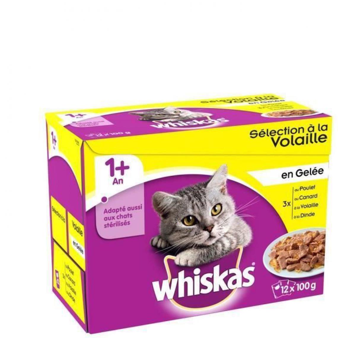 Whiskas - Sachets fraîcheur en gelée - a la volaille 12 x 100 g (x4) - Alimentation humide pour chat
