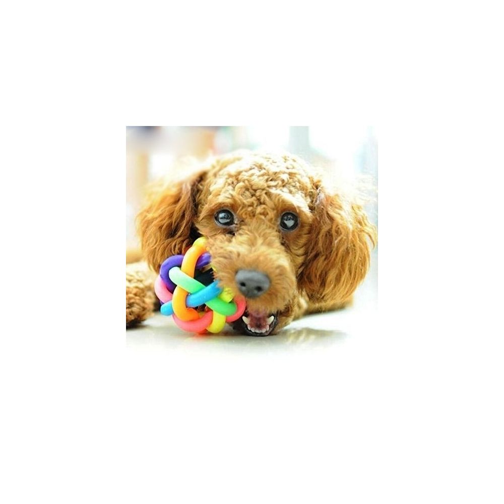 Wewoo - Jouet pour Animaux d'animal familier coloré de boule de Bell de style de tissage d'amusement, taille: S 6.5 * 6.5 * 6.5cm - Jouet pour chien