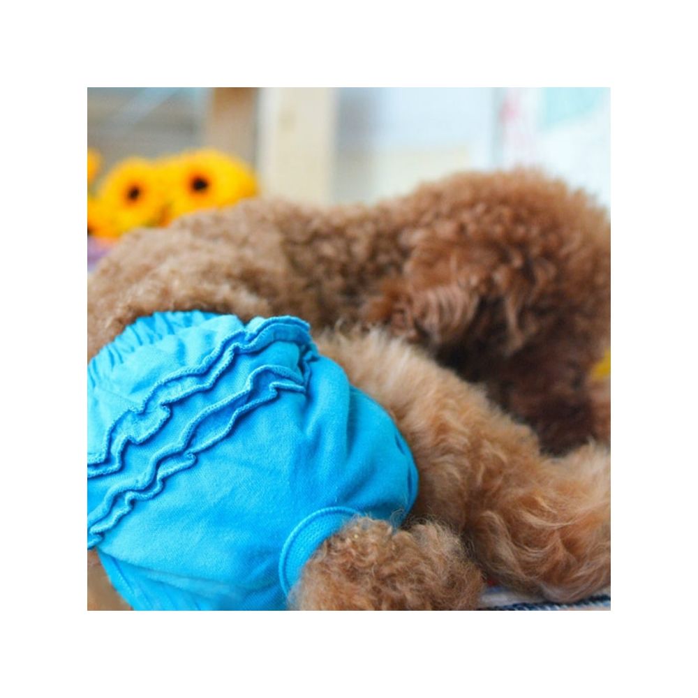 Wewoo - Culotte pour chien sanitaire Vêtements animaux de compagnieTaille XS Bleu - Vêtement pour chien