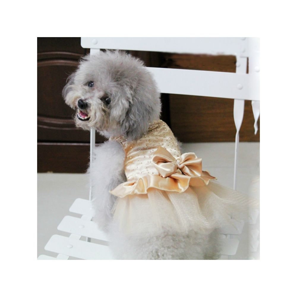 Wewoo - Vêtements pour animaux domestiques Robes de mariée chaudes filletaille S Or - Vêtement pour chien