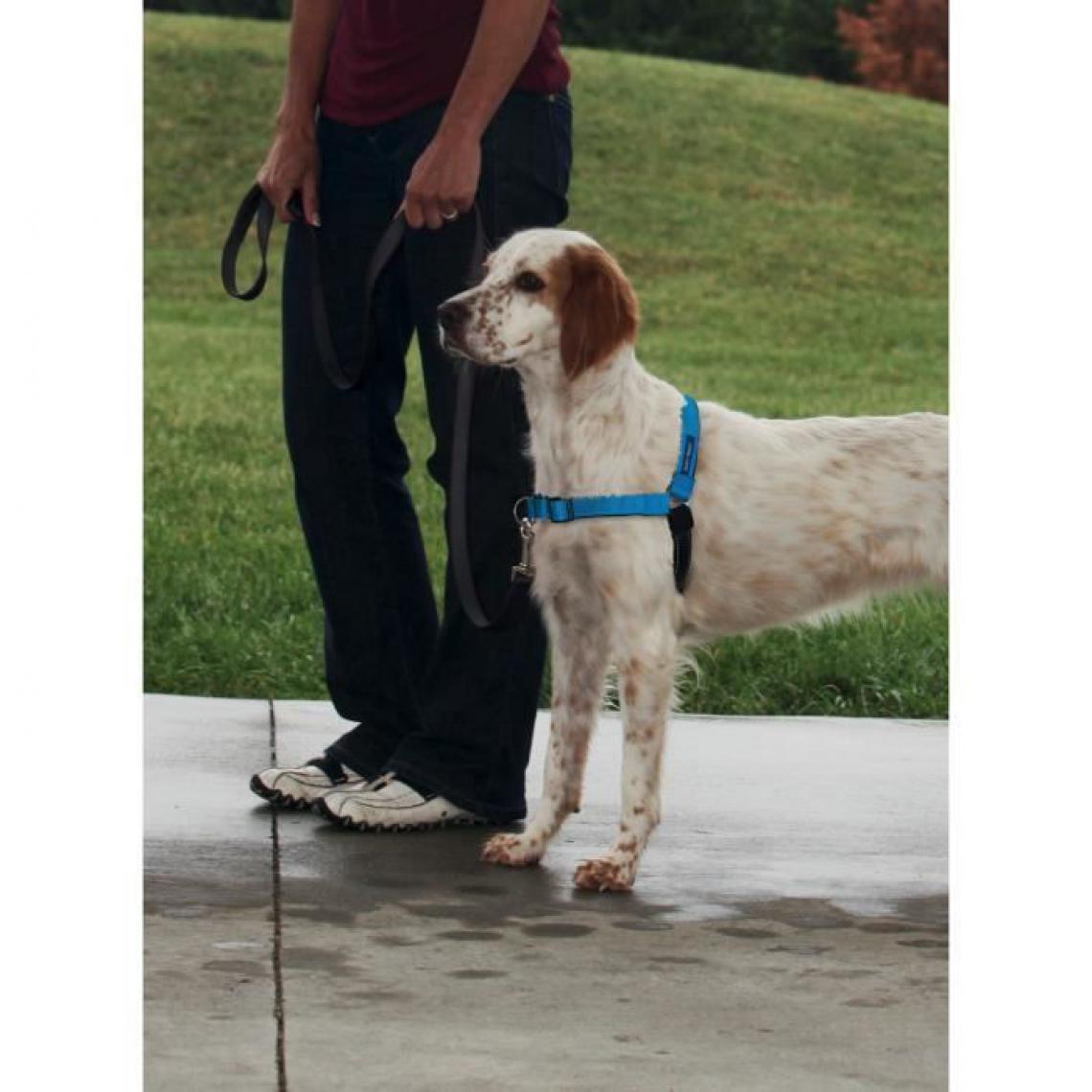 Sans Marque - EASY WALK Harnais Deluxe M - Bleu Ocean - Pour chien - Equipement de transport pour chien