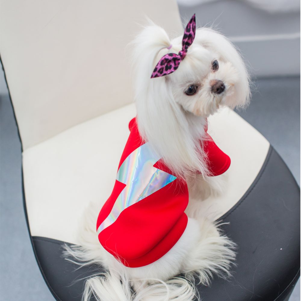 marque generique - Animal Vêtements D'hiver De Chien Vêtements Chiot Coton Ouaté Chaud Foudre Costume S Rouge - Vêtement pour chien