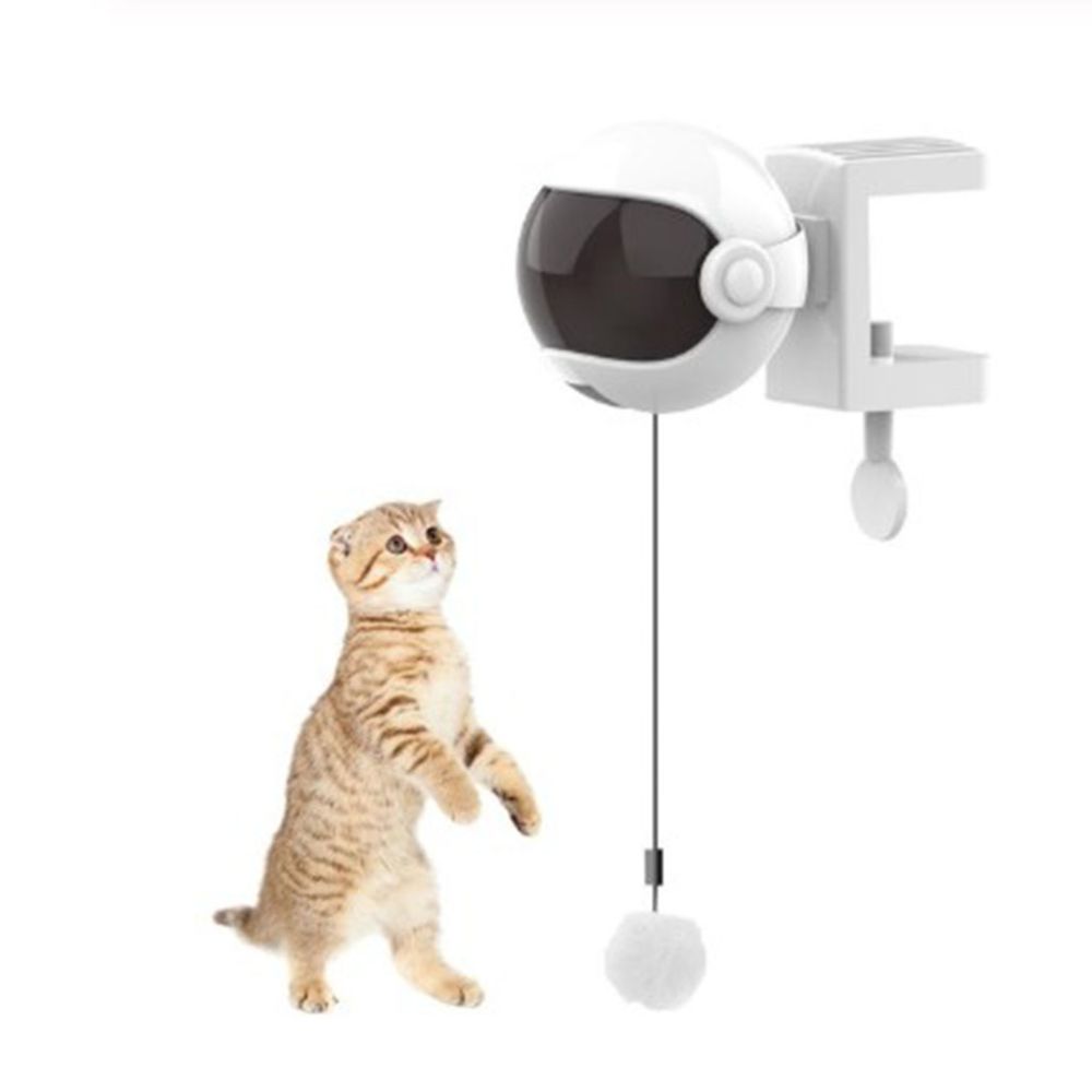 marque generique - Chat électrique Jouet Balles Levage Automatique Interactif Chat Jouet Blanc - Jouet pour chien