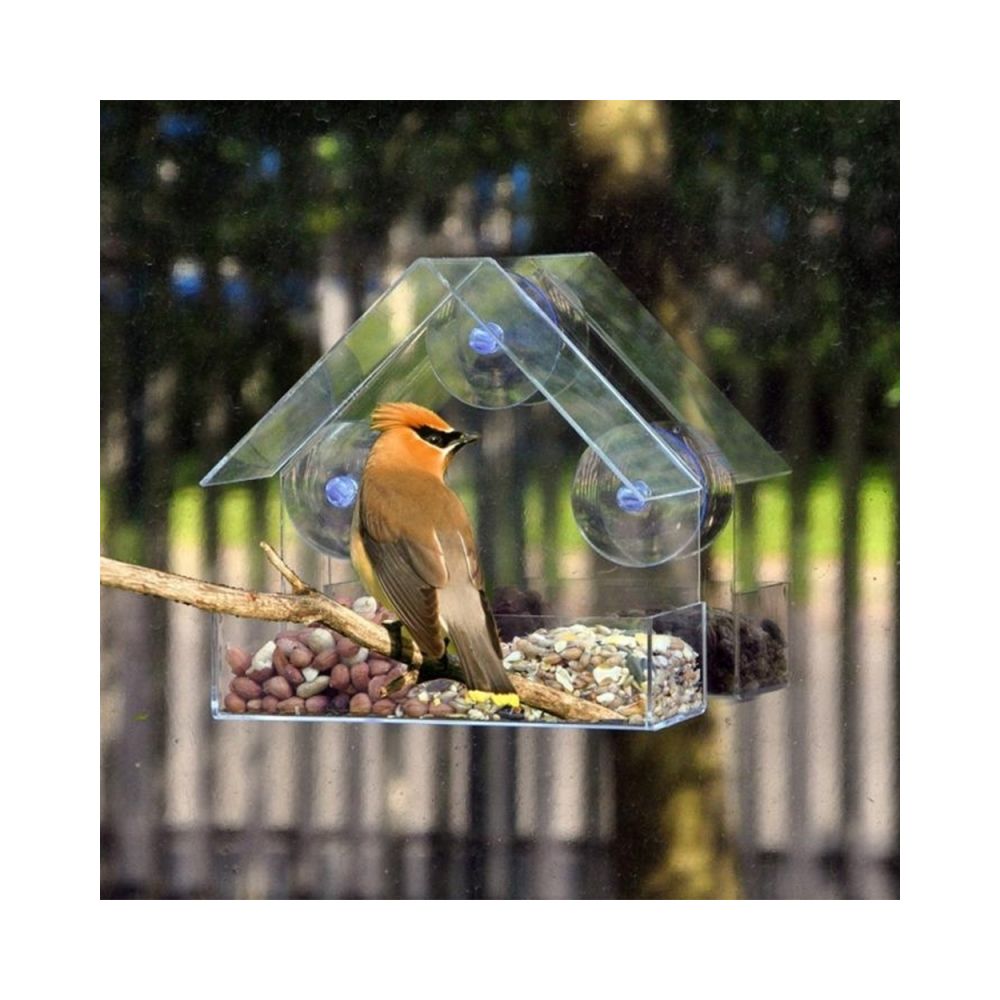 Wewoo - Mangeoire à oiseaux de type maison en plastique transparent à absorption - Gamelle pour chien