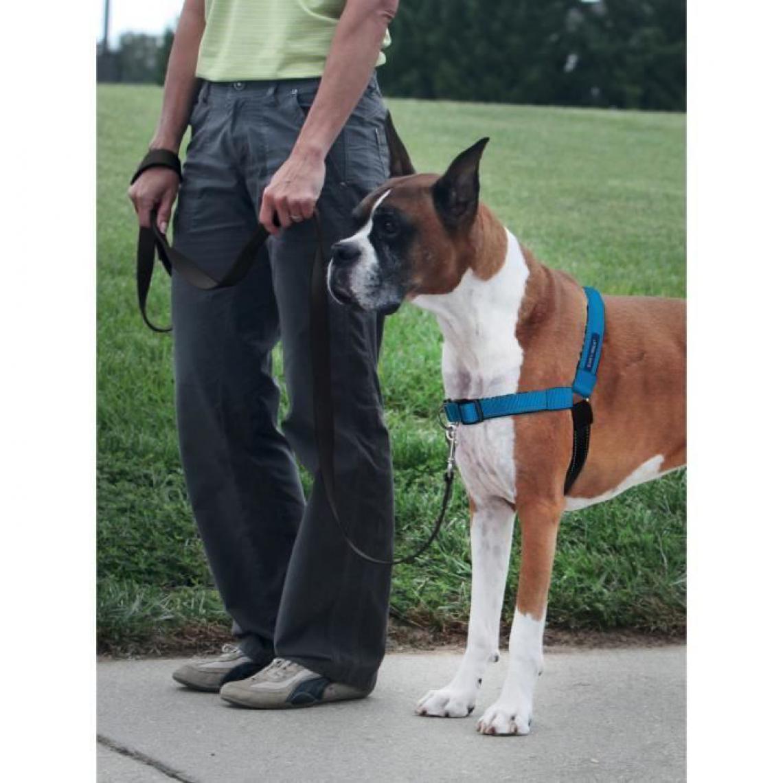 Sans Marque - EASY WALK Harnais Deluxe M-L - Bleu Ocean - Pour chien - Equipement de transport pour chien