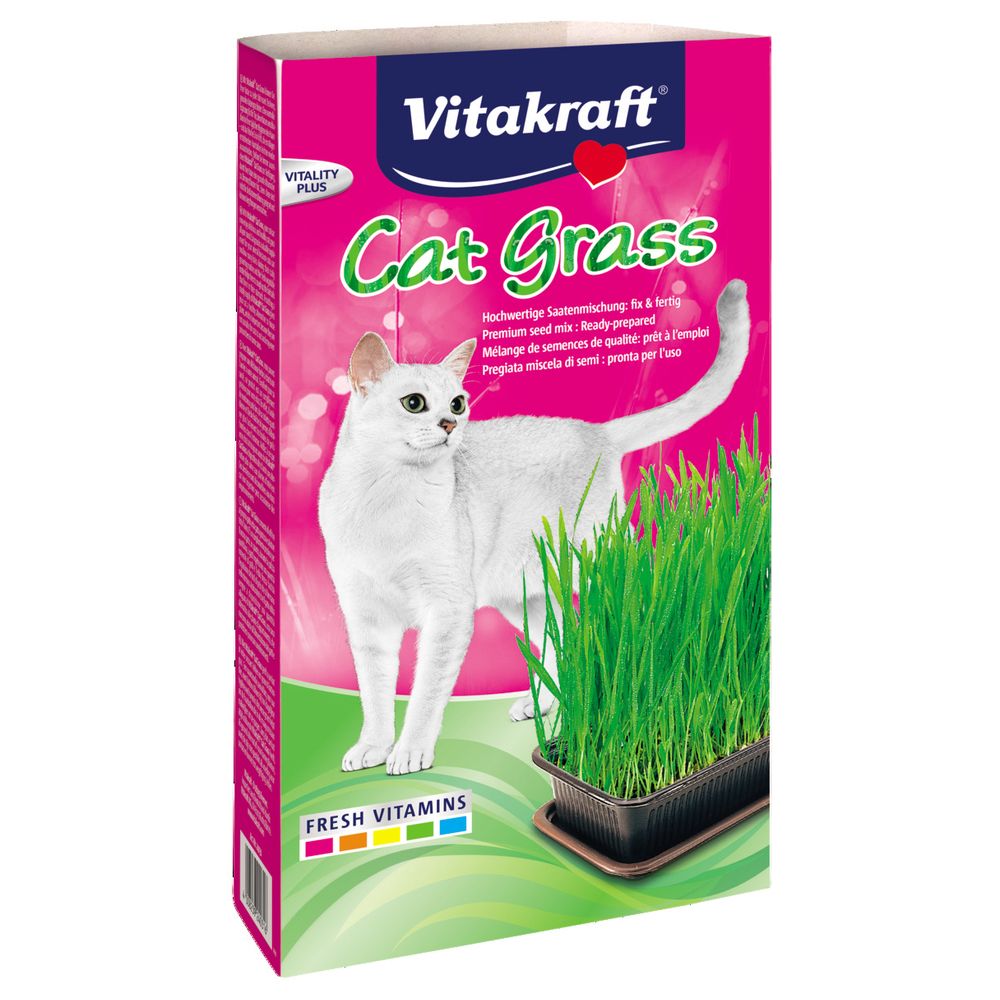 Vitakraft - Herbe à Chat Cat-Gras pour Chats - Vitakraft - 120g - Friandise pour chat